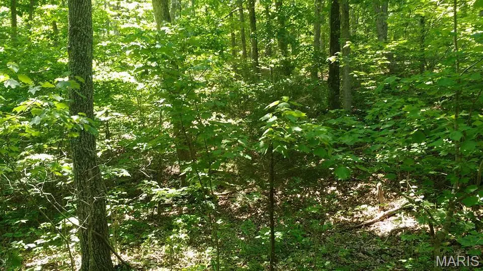 Lot #9 Lake Way, Winona, MO 65588 - #1