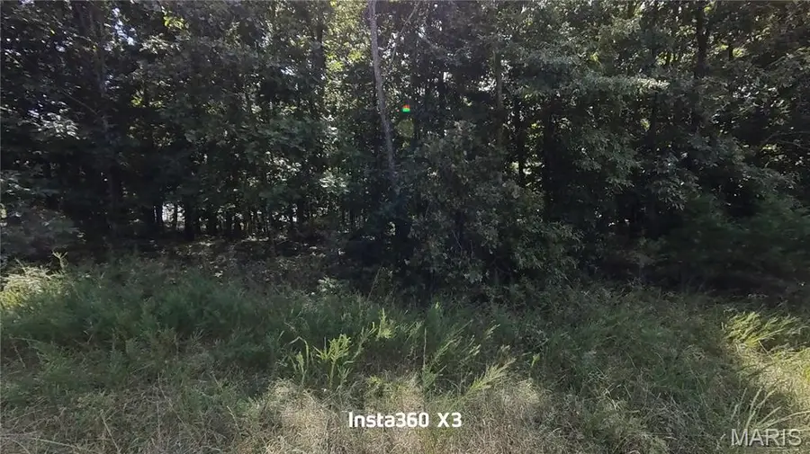 Lot #9 Lake Way, Winona, MO 65588 - #2