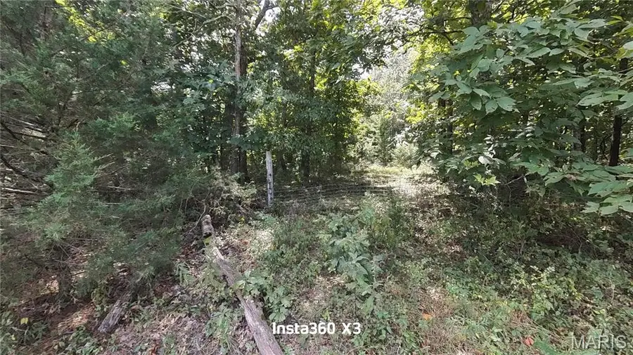 Lot #9 Lake Way, Winona, MO 65588 - #3