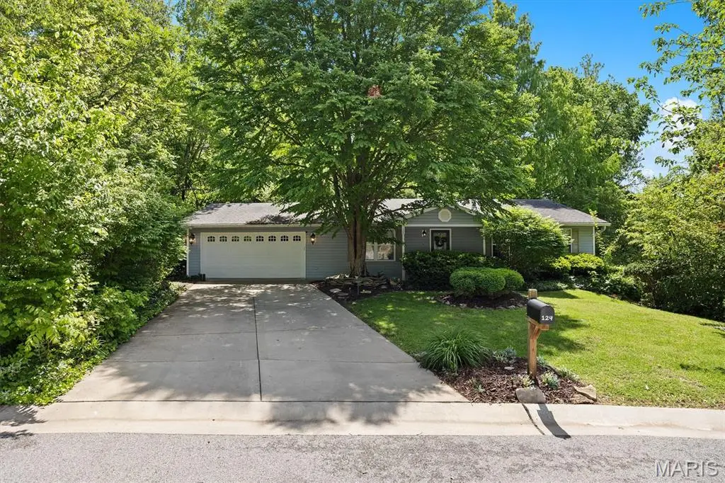 124 Christine Drive, Belleville, IL 62221 - #1