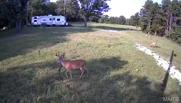 0 County Road 2590, Edgar Springs, MO 65462