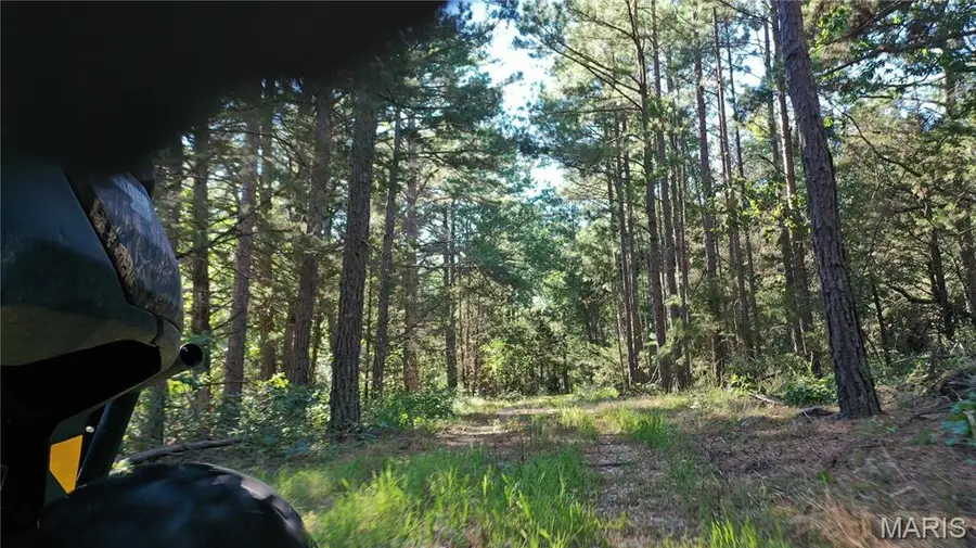 0 County Road 2590, Edgar Springs, MO 65462 - #3