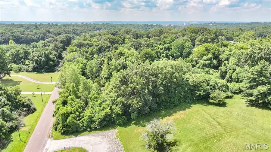 2200 Henry Street, Alton, IL 62002 - #3