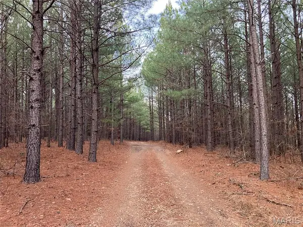 217 Madison Cr 410, Fredericktown, MO 63645