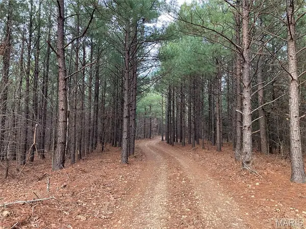 219 Madison Cr 410, Fredericktown, MO 63645