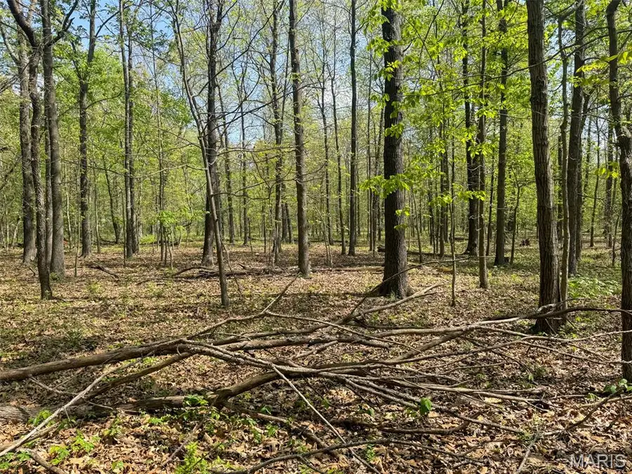 0 Hwy 51, De Soto, IL 62924 - #2