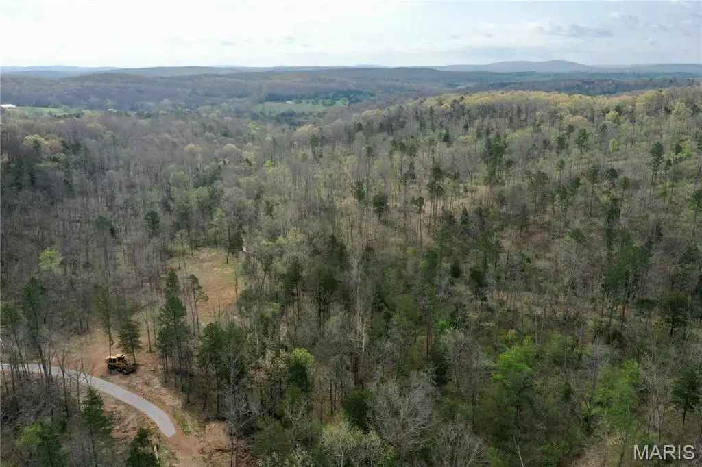 1 Furnace Creek Road, Potosi, MO 63664 - #1