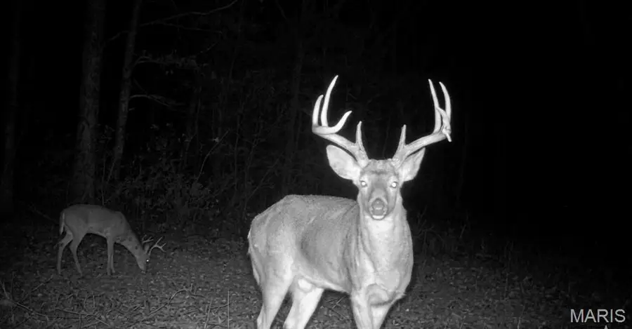 1 Furnace Creek Road, Potosi, MO 63664 - #3