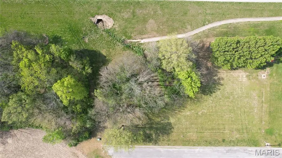 1004 Reinhardt Drive, New Athens, IL 62264 - #2