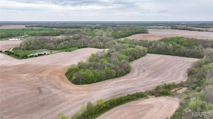 33007 Kane Road, Medora, IL 62063 - #3