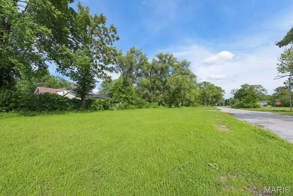 601 N 13th Street, East Saint Louis, IL 62205 - #1