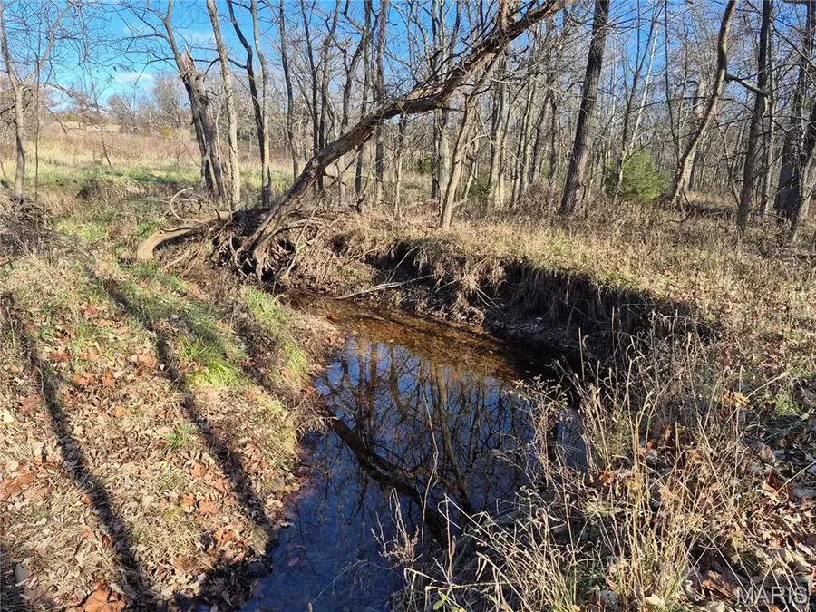 0 County Road 197 - Tract 6 (11+/- Acres), Williamsburg, MO 63388 - #2