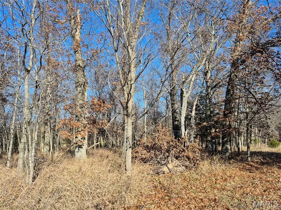 0 County Road 197 - Tract 7 (11+/- Acres), Williamsburg, MO 63388 - #3