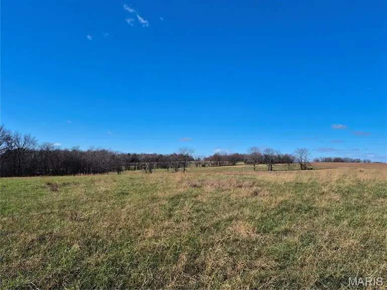 0 County Road 197 - Tract 8 (14+/- Acres), Williamsburg, MO 63388 - #2