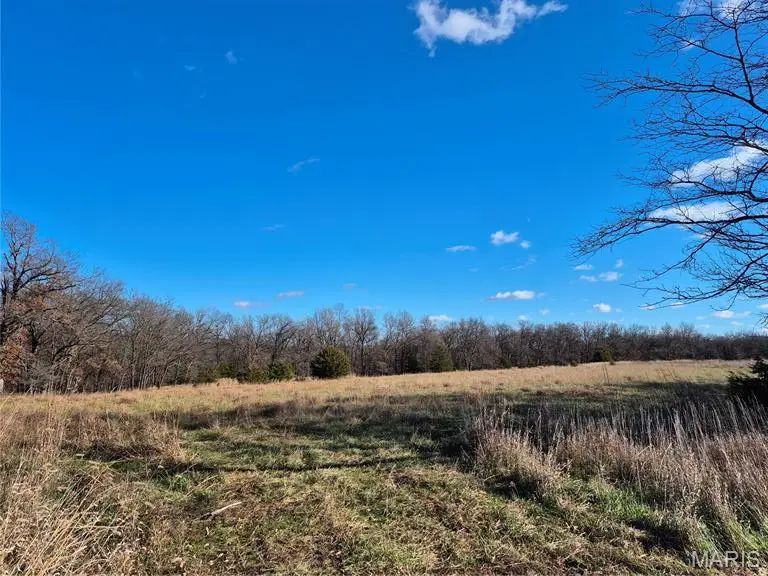 0 County Road 197 - Tract 8 (14+/- Acres), Williamsburg, MO 63388 - #3