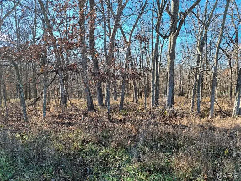 0 County Road 197 - Tract 9 (16+/- Acres), Williamsburg, MO 63388 - #3