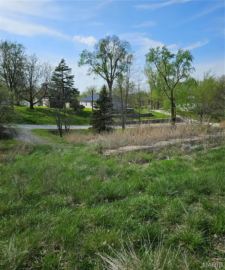 1716 D St., Hannibal, MO 63401 - #2