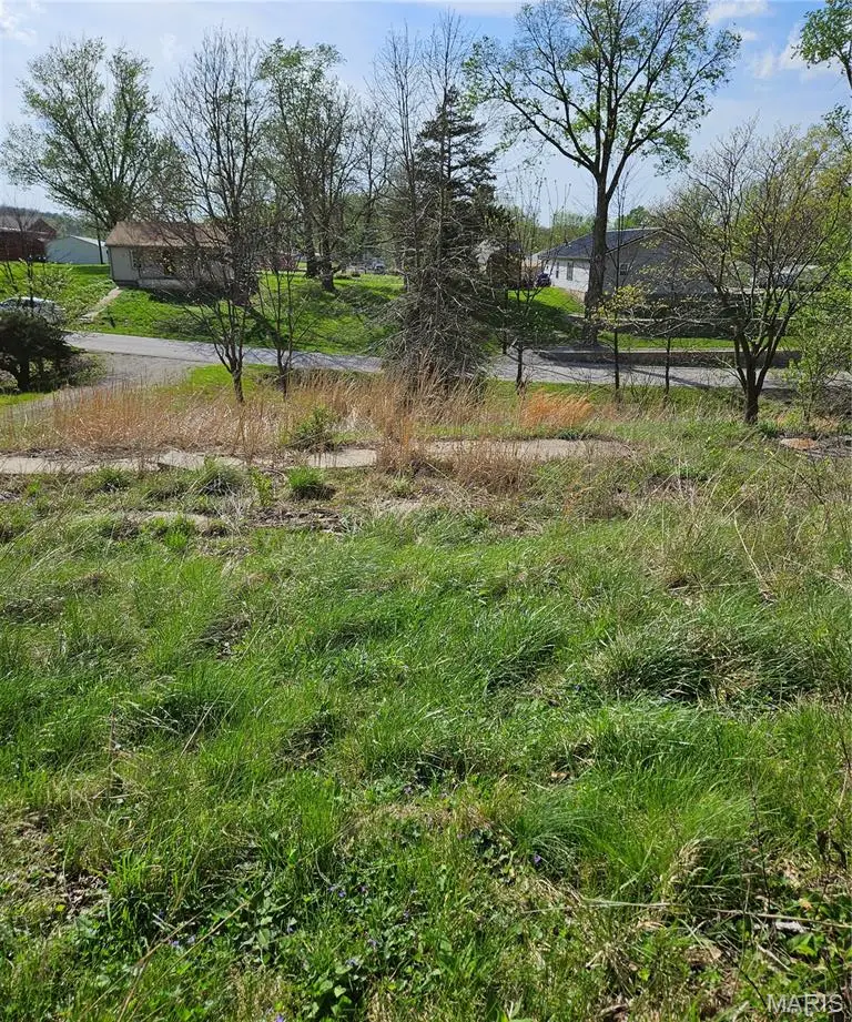 1716 D St., Hannibal, MO 63401 - #3