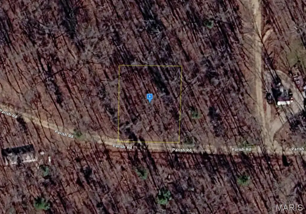 111 Parish Road, Williams, MO 63901 - #1