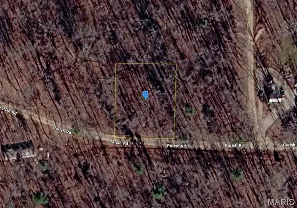 111 Parish Road, Williamsville, MO 63901