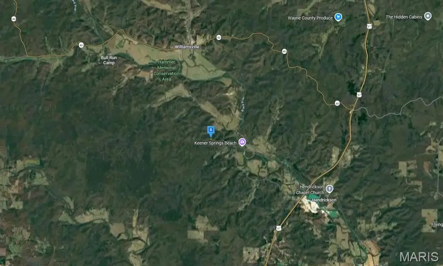 111 Parish Road, Williams, MO 63901 - #3