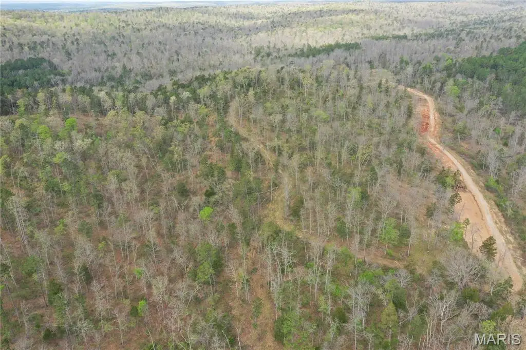 2 Furnace Creek Road, Potosi, MO 63664 - #1