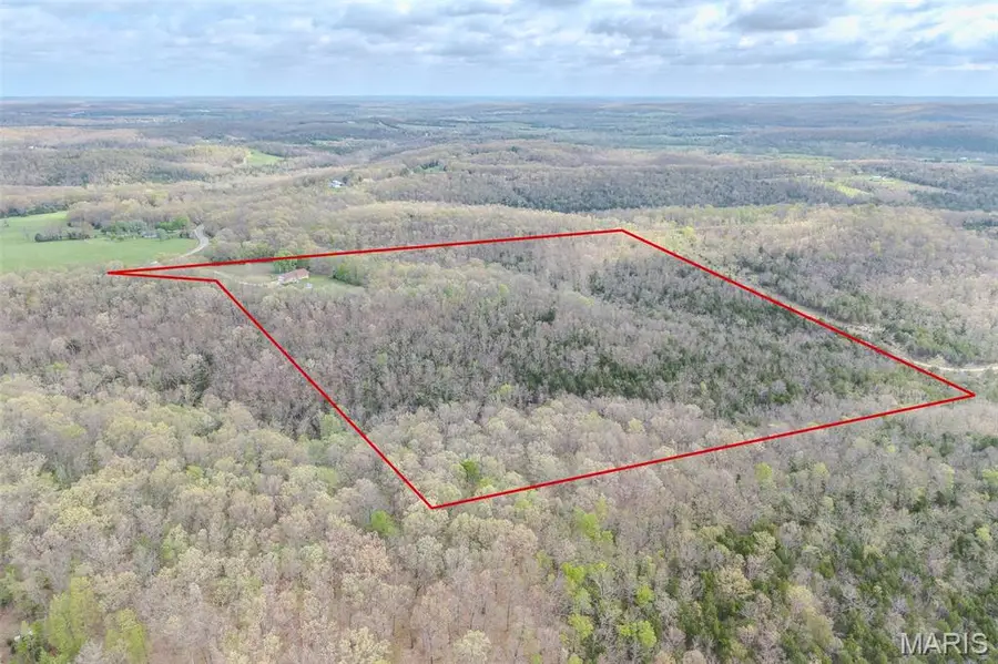 22598 Highway N, Lebanon, MO 65536 - #3