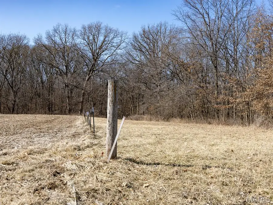 00 Pike 41, Bowling Green, MO 63334 - #2