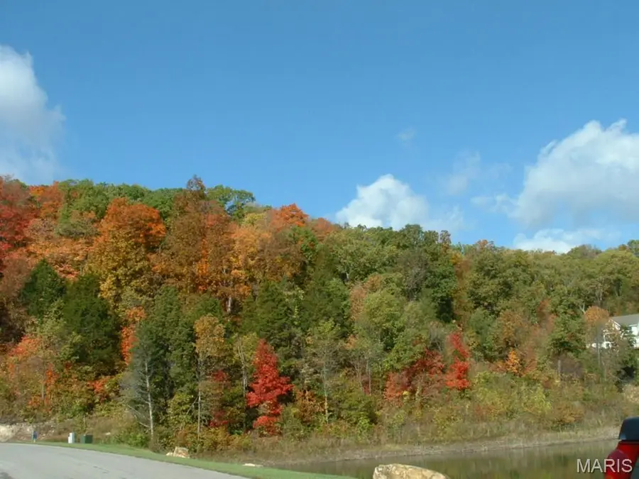 329 Berg Crossing Drive, Augusta, MO 63332 - #3