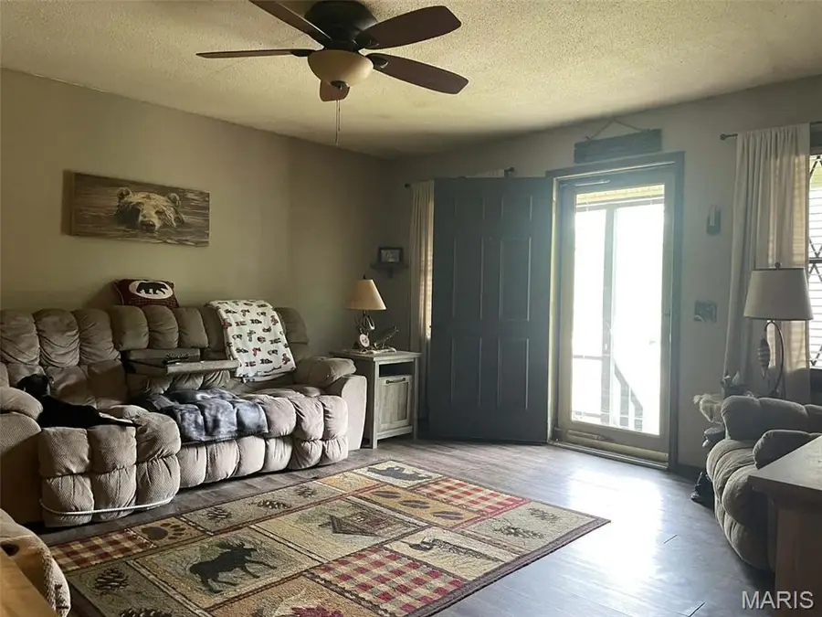 15594 Horse Shoe Lane, Dexter, MO 63841 - #2