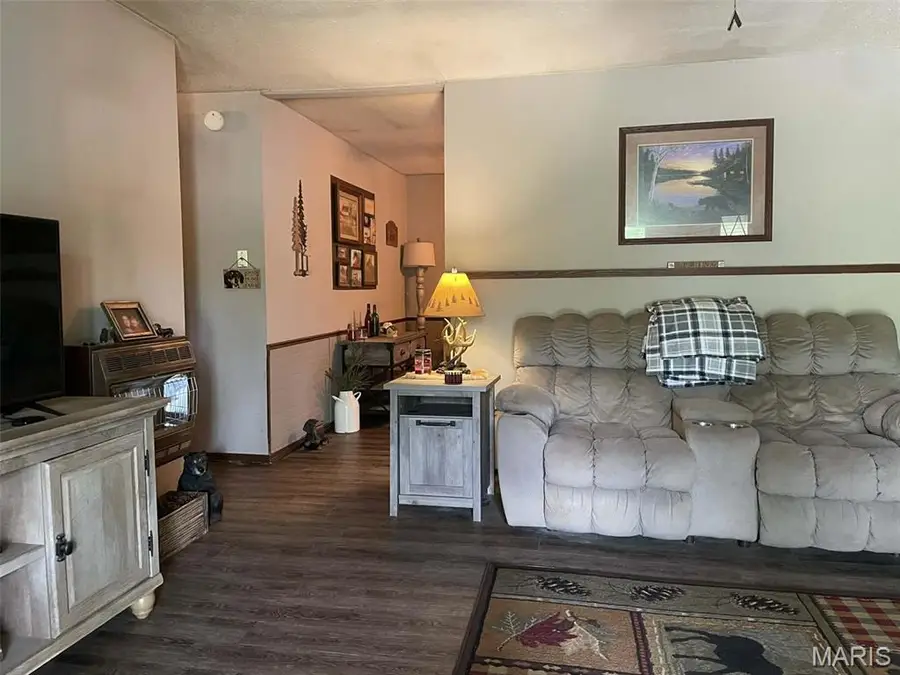 15594 Horse Shoe Lane, Dexter, MO 63841 - #3