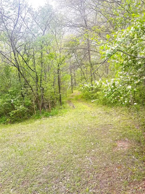 xxx Maple Grove Rd., Troy, IL 62294 - #2