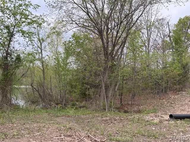 607 Katie Lane, Dixon, MO 65459 - #3