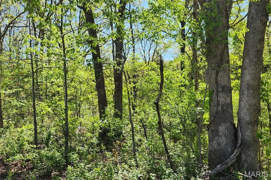 3906 & 3910 Red Bud Drive, Catawissa, MO 63015 - #3