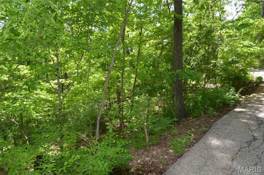 1730 Chimney Top Farms Road, Wildwood, MO 63038 - #2