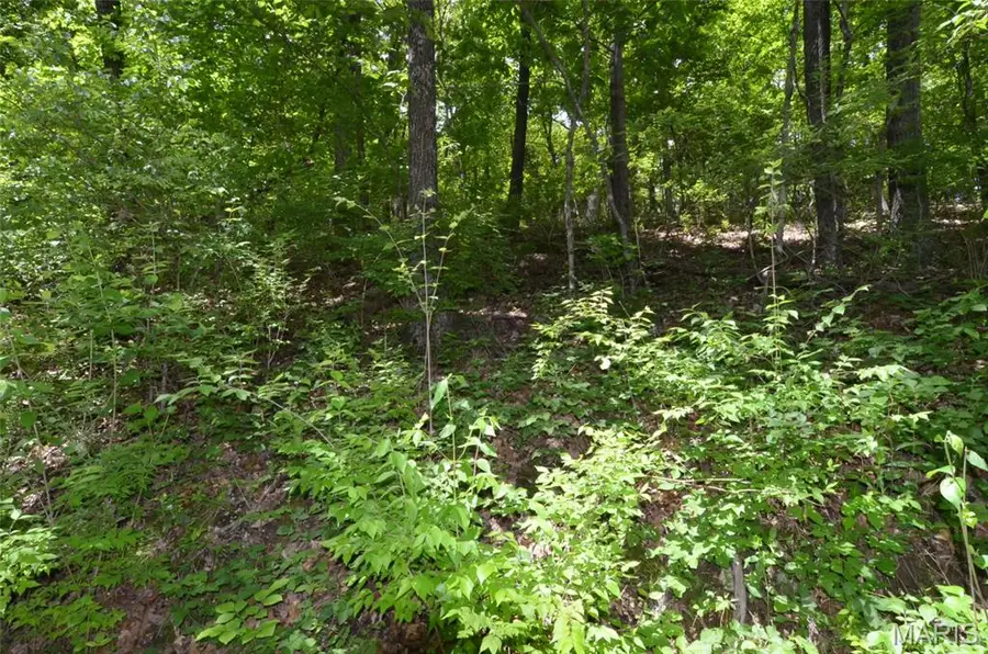 1730 Chimney Top Farms Road, Wildwood, MO 63038 - #3