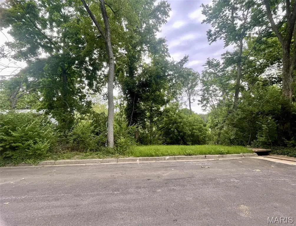 1048 Diversey Drive, Saint Louis, MO 63126 - #1