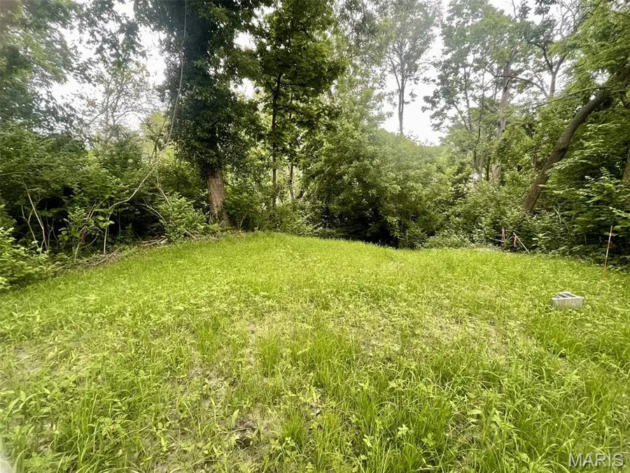 1048 Diversey Drive, Saint Louis, MO 63126 - #2