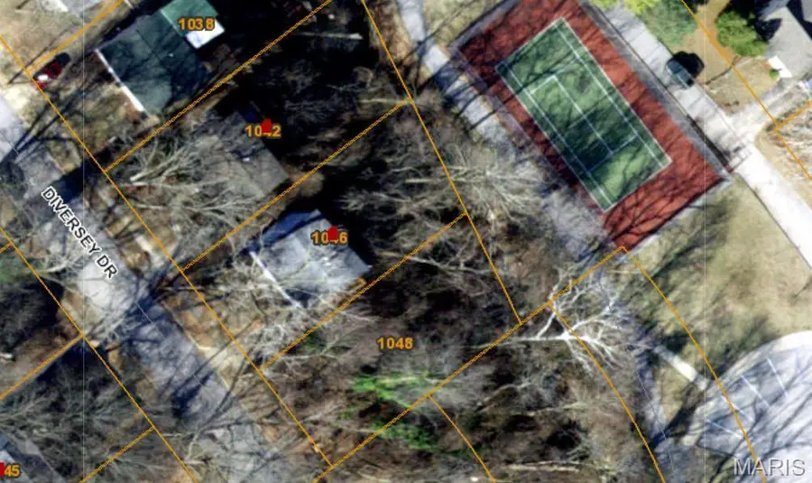 1048 Diversey Drive, Saint Louis, MO 63126 - #3