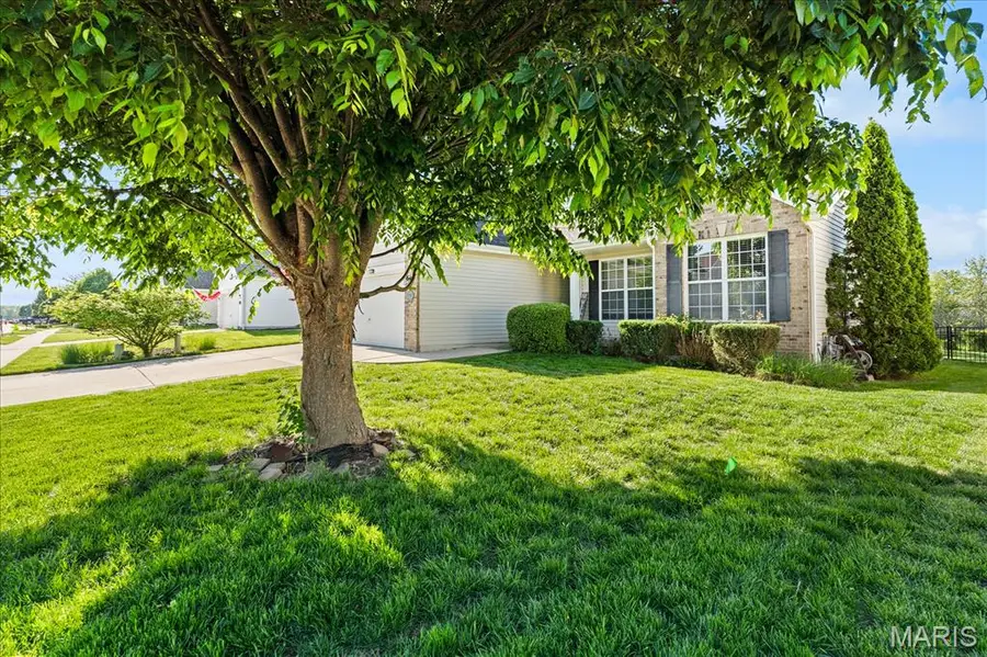 2923 Wye Oak Drive, Belleville, IL 62221 - #2