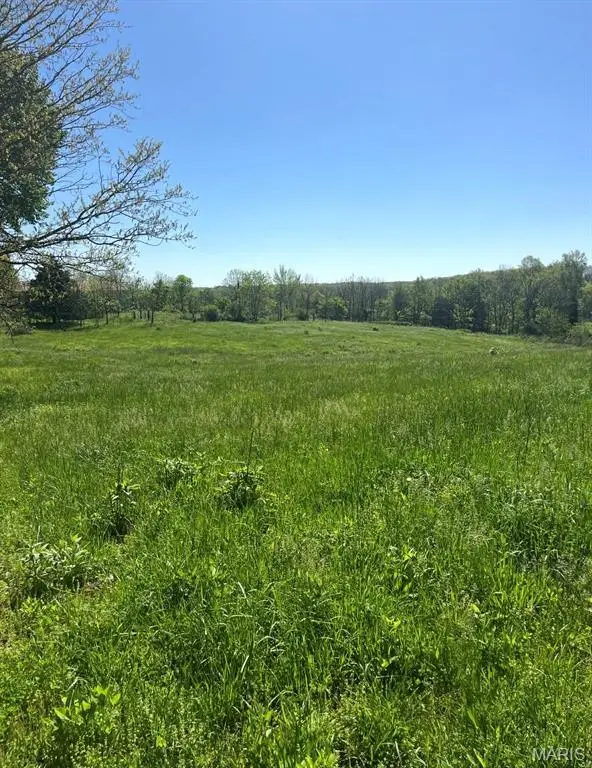 3848 E Lindburg Road, Cuba, MO 65453 - #2