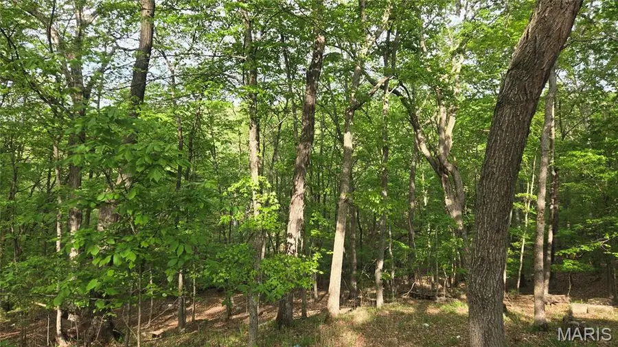 13486 Kitt Park Drive, Ste Genevieve, MO 63670 - #3