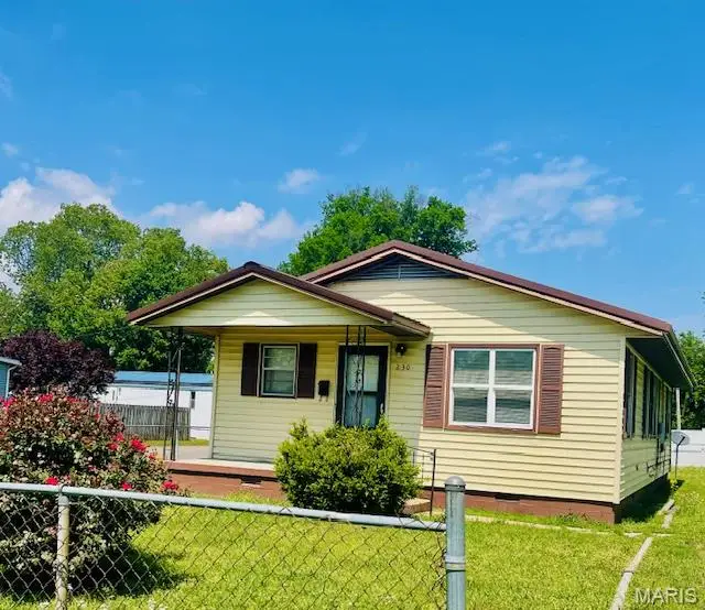 230 Pinnell Lane, New Madrid, MO 63869 - #1