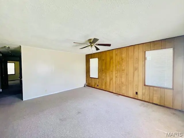 230 Pinnell Lane, New Madrid, MO 63869 - #2