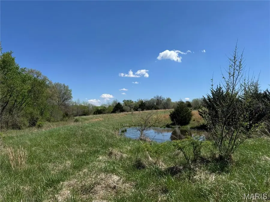 53424 Trabue Lane, Hannibal, MO 63401 - #3