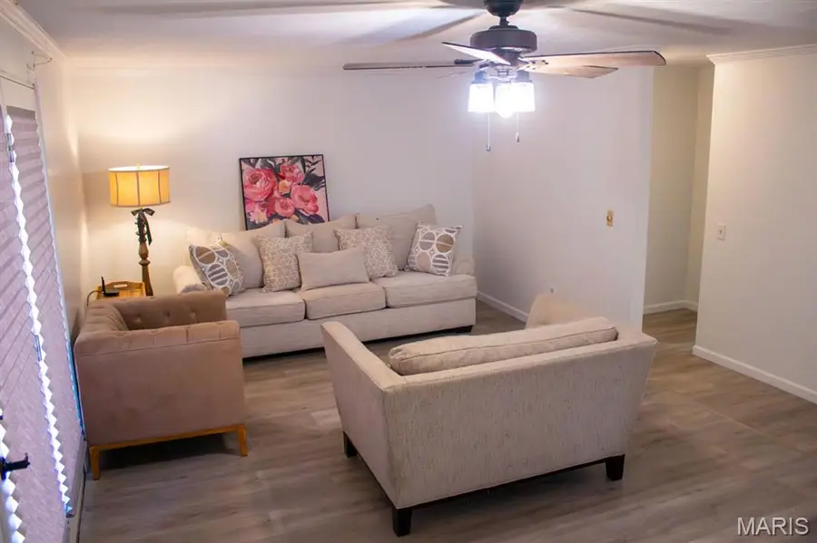 18668 County Road 122, Malden, MO 63863 - #3