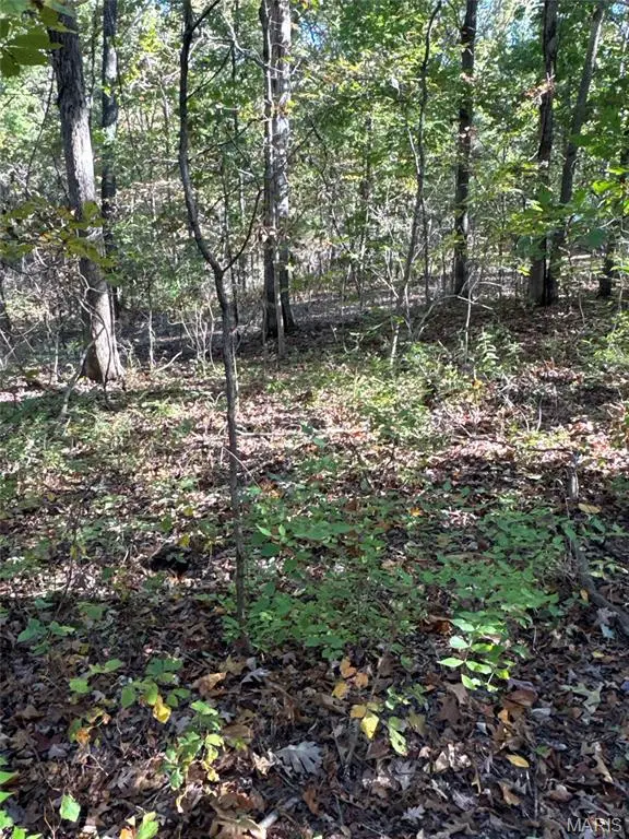 9754 Brenda Court, Bonne Terre, MO 63628 - #3