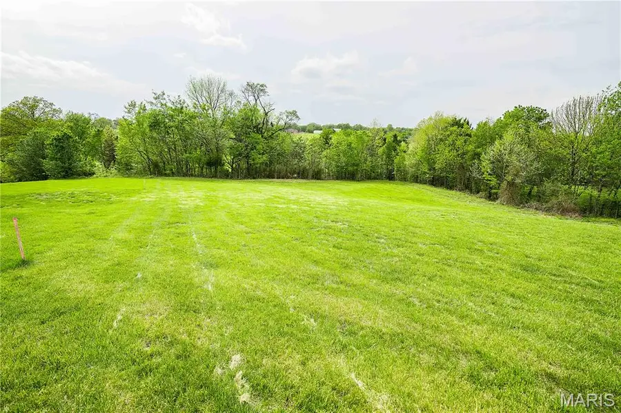 227 Willowbrook Bend, Cape Girardeau, MO 63701 - #3