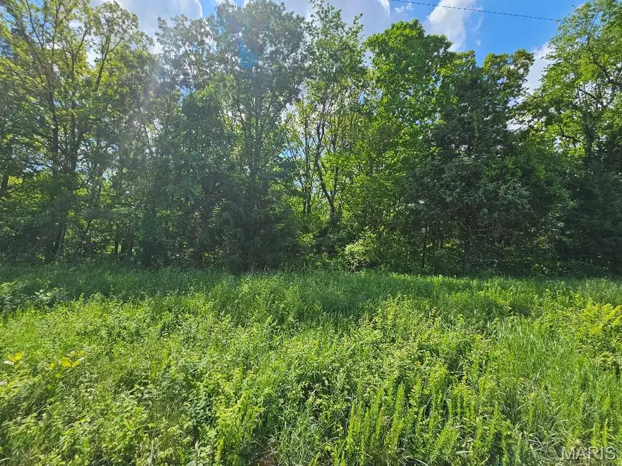 0 Carter 239, Ellsinore, MO 63937 - #2