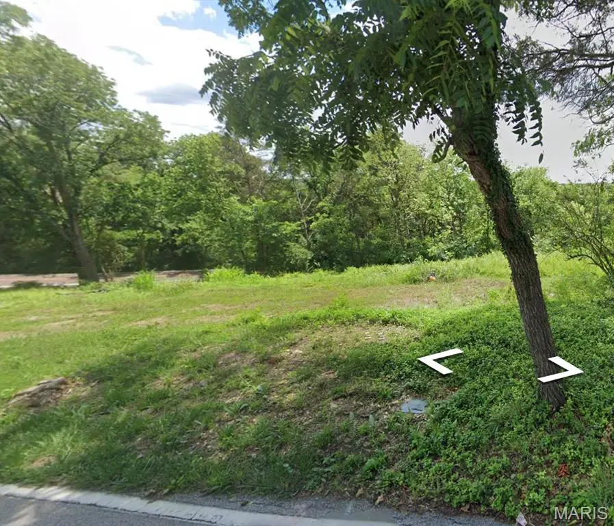 10980 Bailey School Road, Festus, MO 63028 - #2